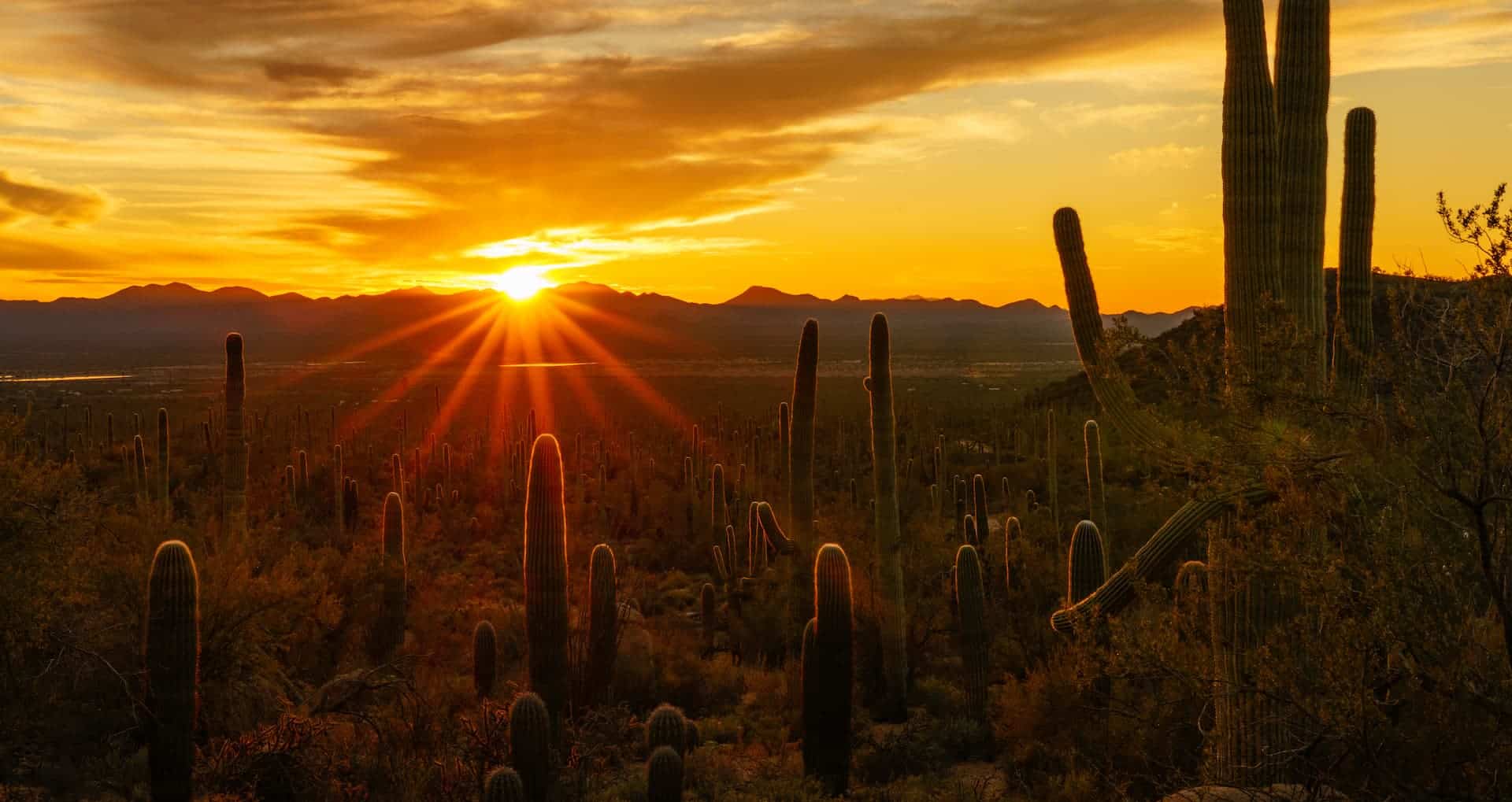 Desert sunset in Tucson, Arizona.
